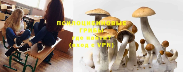 хмурый Сосновоборск
