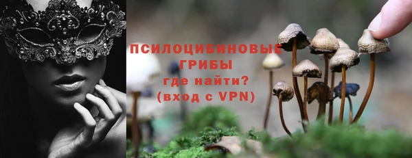 соль ск Белоозёрский