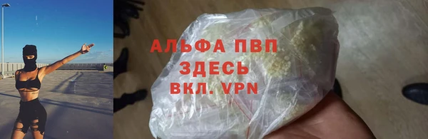 молекула духа Белокуриха