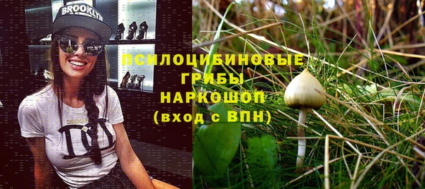 молекула духа Белокуриха
