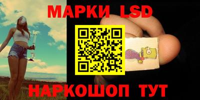 дмт Бийск