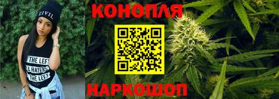 дмт Бийск