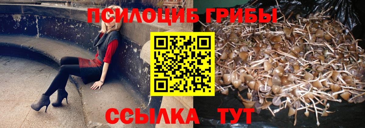 Псилоцибиновые грибы GOLDEN TEACHER  Вход с VPN  Бор 
