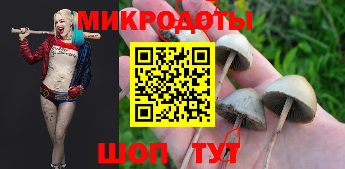 Псилоцибиновые грибы мицелий Бор